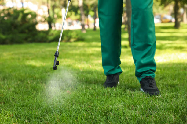 Best Affordable Pest Control Services  in La Verne, CA