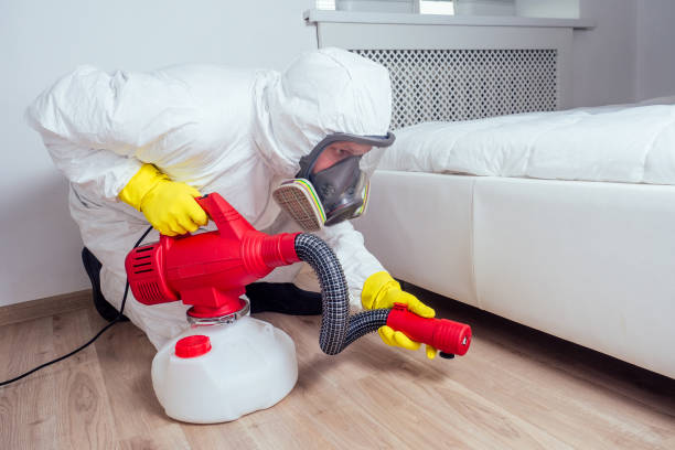 Best Emergency Pest Control  in La Verne, CA