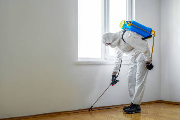 Best Pest Control Near Me  in La Verne, CA