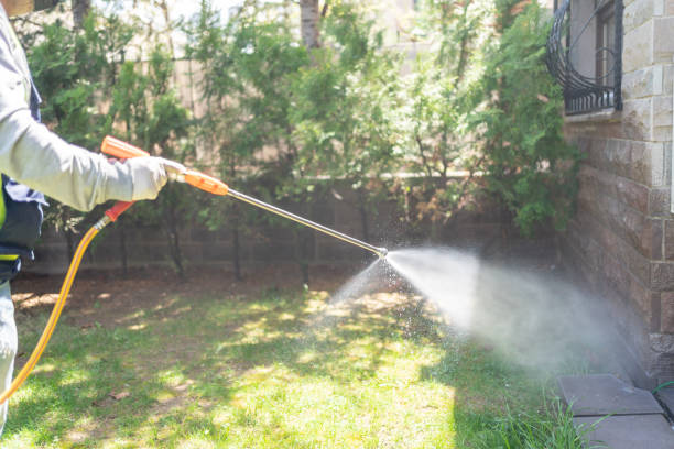 Best Wasp Removal Services  in La Verne, CA