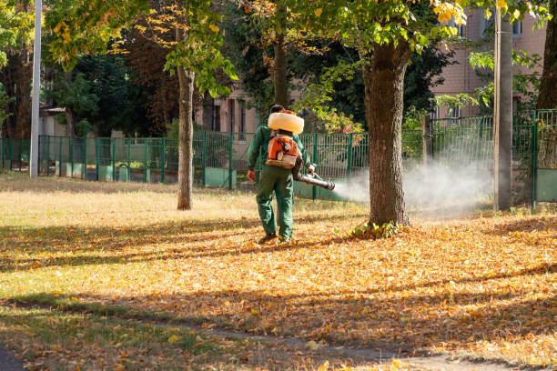 Best Best Pest Control Companies  in La Verne, CA